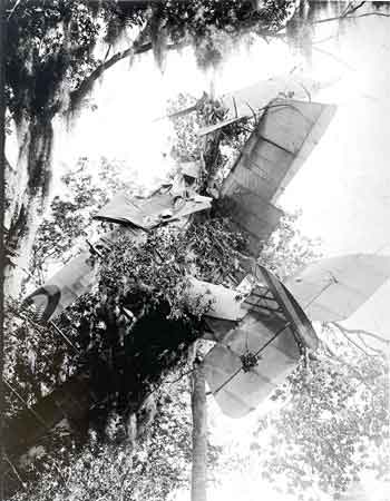 A crashed airplane in a tree