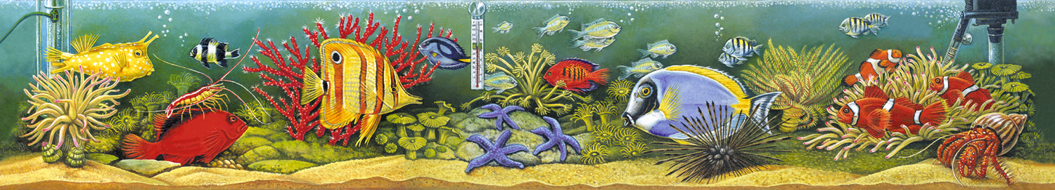 painting of about 20 different forms of aquarium lish