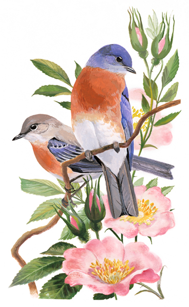 painting of an Eastern Bluebird and a Rose