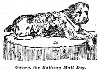 A drawing of Owney the dog laying on a rug