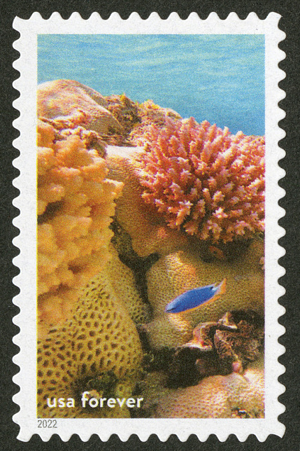 stamp featuring the National Marine Sanctuaries Corals and fish, Rose Atoll