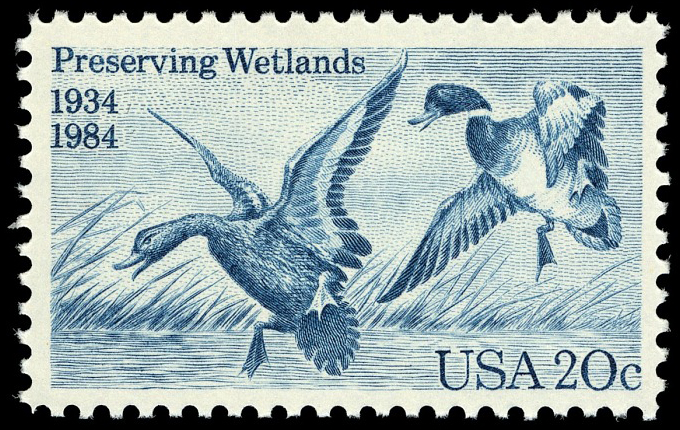 Glorious Flight: The Jeannette C. Rudy Duck Stamp Collection presentation sreenshot