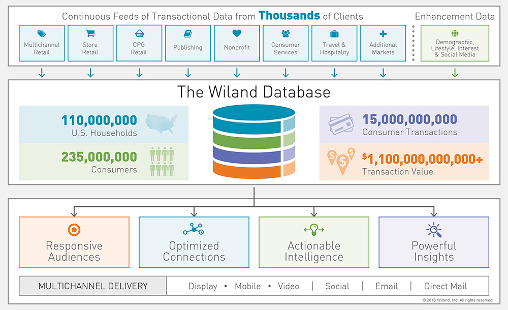 Diagram of the process of the Wiland Group Database