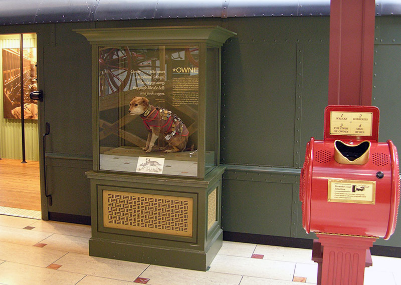 owney on display